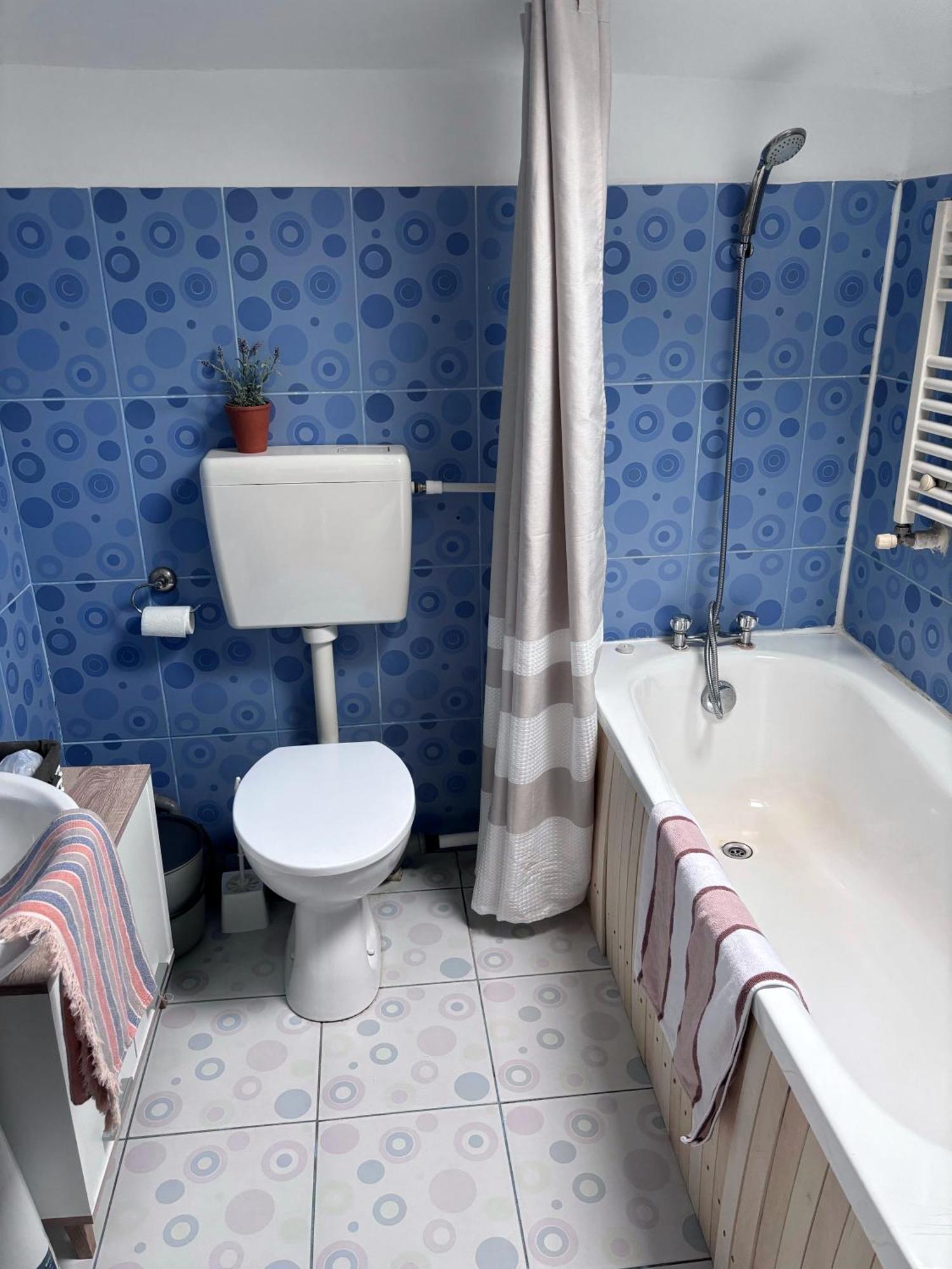 Casa Trandafirilor Hotel Тулча Екстериор снимка